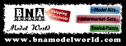 bnamodelworld